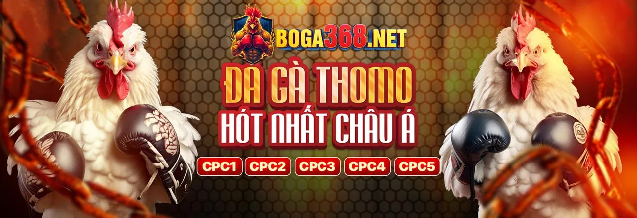 Hình ảnh chính trang Câu Hỏi Thường Gặp của Nowgoal Chính Thức